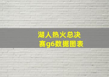 湖人热火总决赛g6数据图表