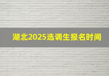 湖北2025选调生报名时间