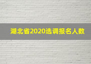 湖北省2020选调报名人数