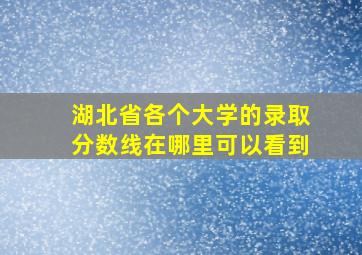 湖北省各个大学的录取分数线在哪里可以看到