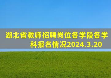 湖北省教师招聘岗位各学段各学科报名情况2024.3.20