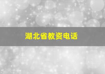 湖北省教资电话