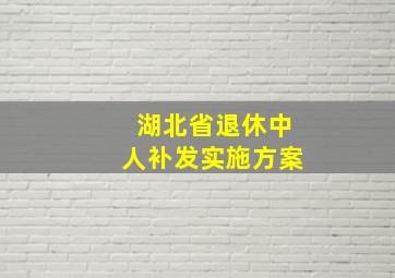 湖北省退休中人补发实施方案