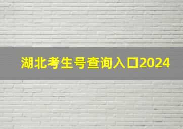 湖北考生号查询入口2024