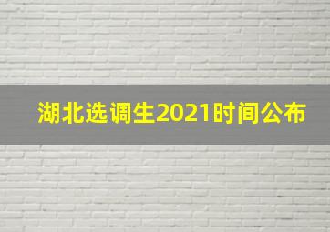 湖北选调生2021时间公布