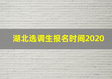 湖北选调生报名时间2020