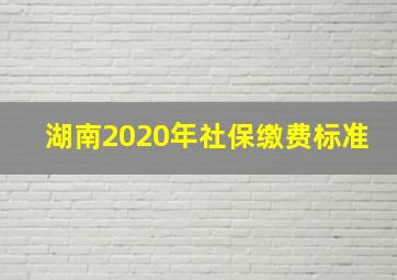 湖南2020年社保缴费标准