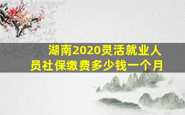 湖南2020灵活就业人员社保缴费多少钱一个月