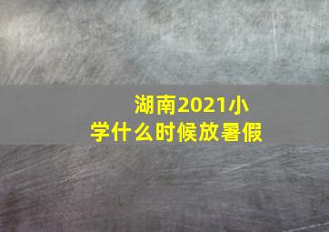 湖南2021小学什么时候放暑假