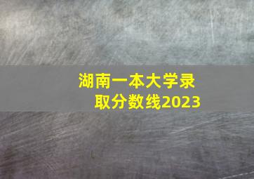 湖南一本大学录取分数线2023