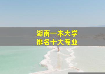 湖南一本大学排名十大专业