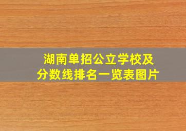 湖南单招公立学校及分数线排名一览表图片