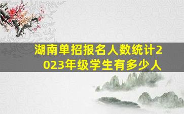 湖南单招报名人数统计2023年级学生有多少人