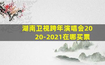 湖南卫视跨年演唱会2020-2021在哪买票