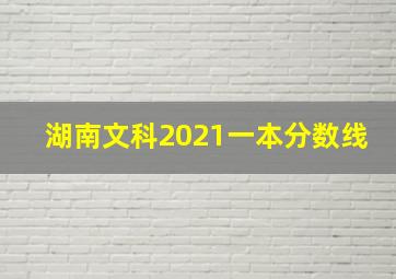 湖南文科2021一本分数线