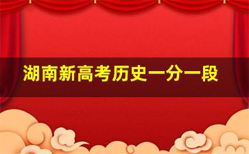 湖南新高考历史一分一段