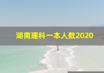 湖南理科一本人数2020