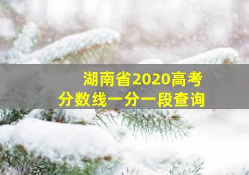 湖南省2020高考分数线一分一段查询