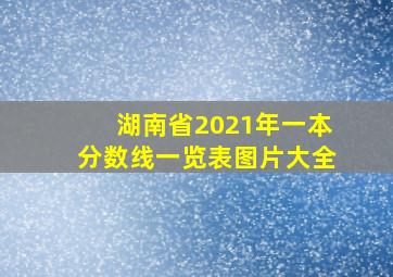 湖南省2021年一本分数线一览表图片大全