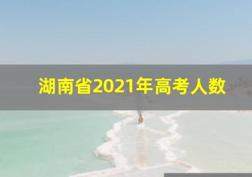 湖南省2021年高考人数