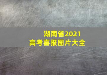 湖南省2021高考喜报图片大全