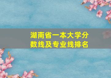 湖南省一本大学分数线及专业线排名