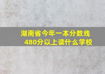 湖南省今年一本分数线480分以上读什么学校