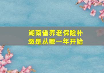 湖南省养老保险补缴是从哪一年开始