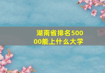 湖南省排名50000能上什么大学