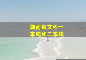 湖南省文科一本线和二本线