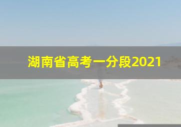 湖南省高考一分段2021