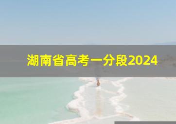 湖南省高考一分段2024