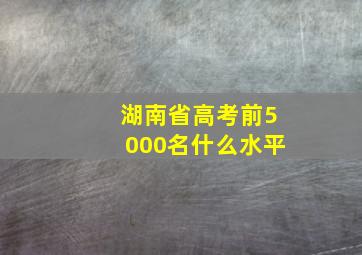 湖南省高考前5000名什么水平