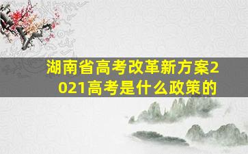 湖南省高考改革新方案2021高考是什么政策的