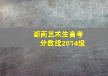 湖南艺术生高考分数线2014级