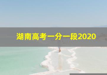 湖南高考一分一段2020