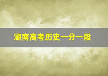 湖南高考历史一分一段