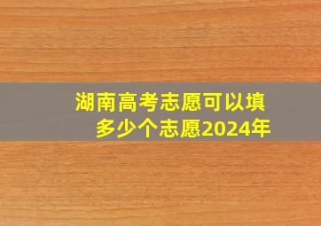 湖南高考志愿可以填多少个志愿2024年