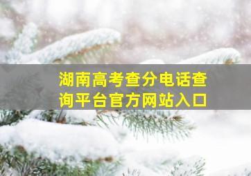 湖南高考查分电话查询平台官方网站入口