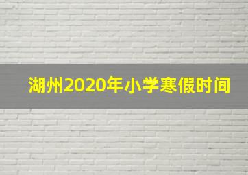 湖州2020年小学寒假时间