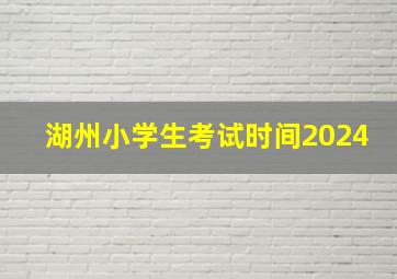 湖州小学生考试时间2024