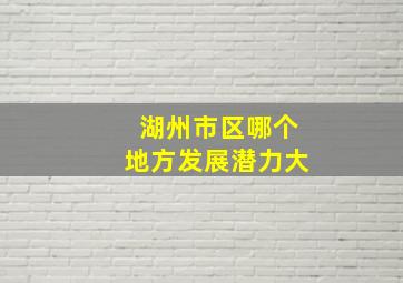 湖州市区哪个地方发展潜力大