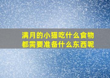 满月的小猫吃什么食物都需要准备什么东西呢