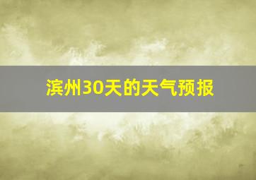 滨州30天的天气预报