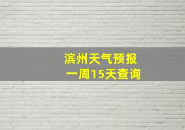 滨州天气预报一周15天查询