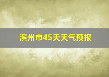 滨州市45天天气预报