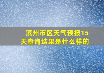 滨州市区天气预报15天查询结果是什么样的