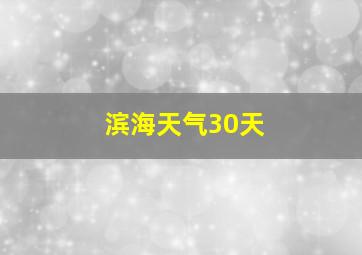 滨海天气30天