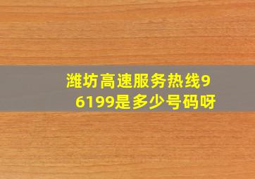 潍坊高速服务热线96199是多少号码呀