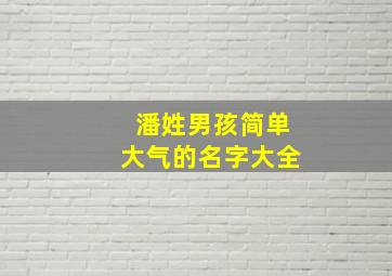 潘姓男孩简单大气的名字大全